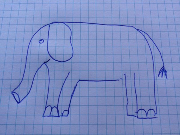 Elefant (2)