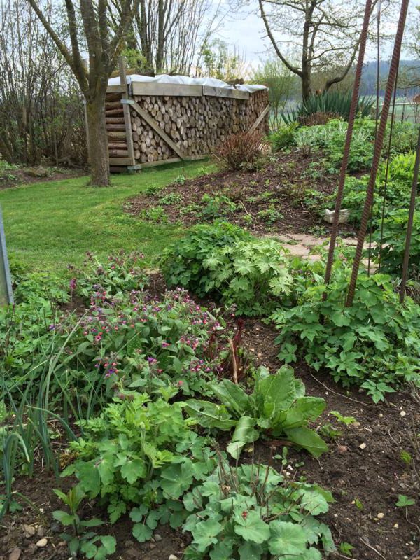 gemüsegarten (3) Häkelfieber