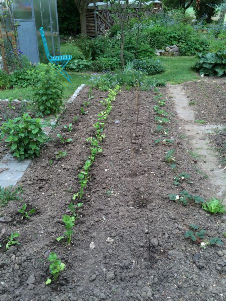 gartengestaltung (4)