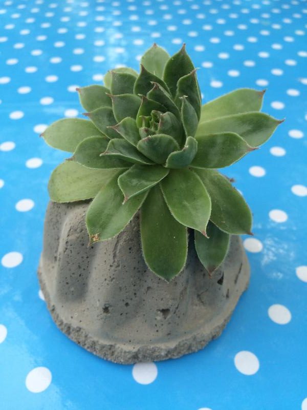 gartendeko aus beton (4) - Häkelfieber