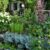 hausgarten11